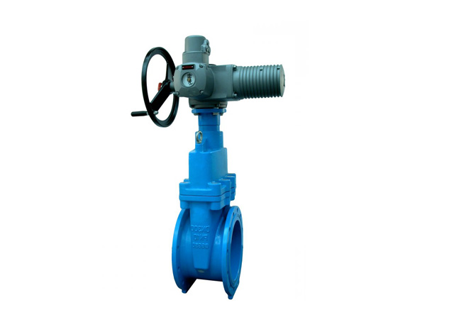 Задвижка с электроприводом 30лс941нж DN 800